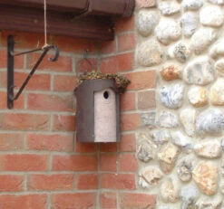 Schwegler 1B Hole Nest Box -Ark Wildlife Shop 1B Sch brown