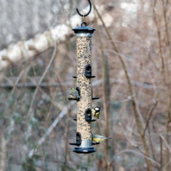 Apollo Seed Feeders -Ark Wildlife Shop APSG 00 Apollo Giant