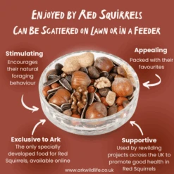 Ark Red Squirrel Food 7 Ark Red Squirrel Food -Ark Wildlife Shop ARSM WhyBuy