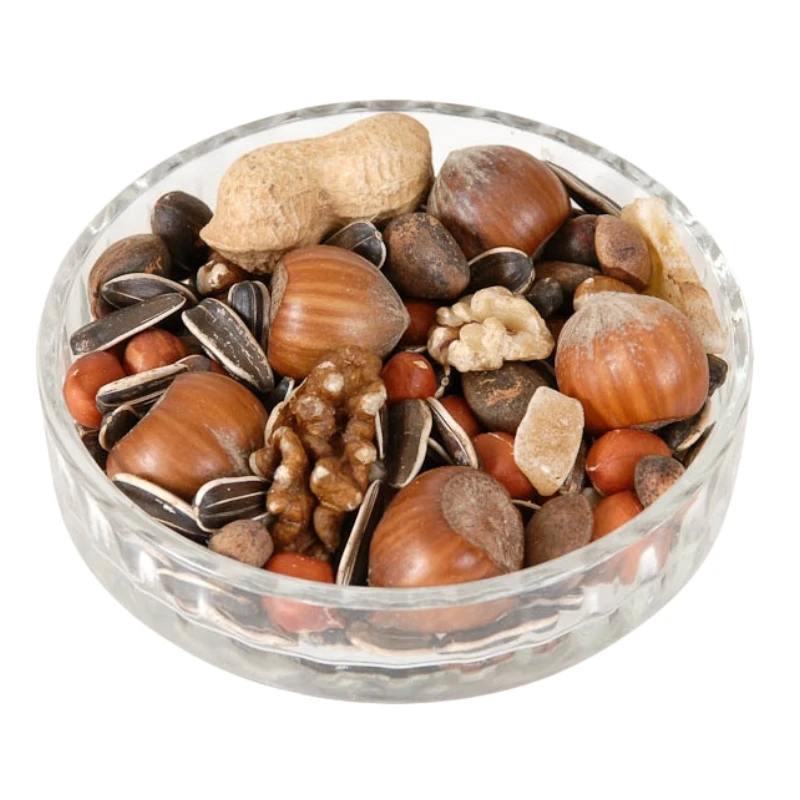 Ark Red Squirrel Food 1 Ark Red Squirrel Food