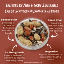 Ark Squirrel Whole Nut -Ark Wildlife Shop ASWN WhyBuy