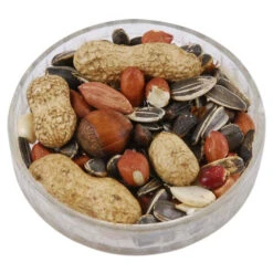 Ark Squirrel Whole Nut