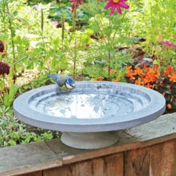 Stepped Shenstone Wildlife Water Drinker