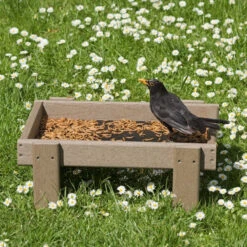 Woodlook Ground Feeder Tray -Ark Wildlife Shop Bird Feeder UK