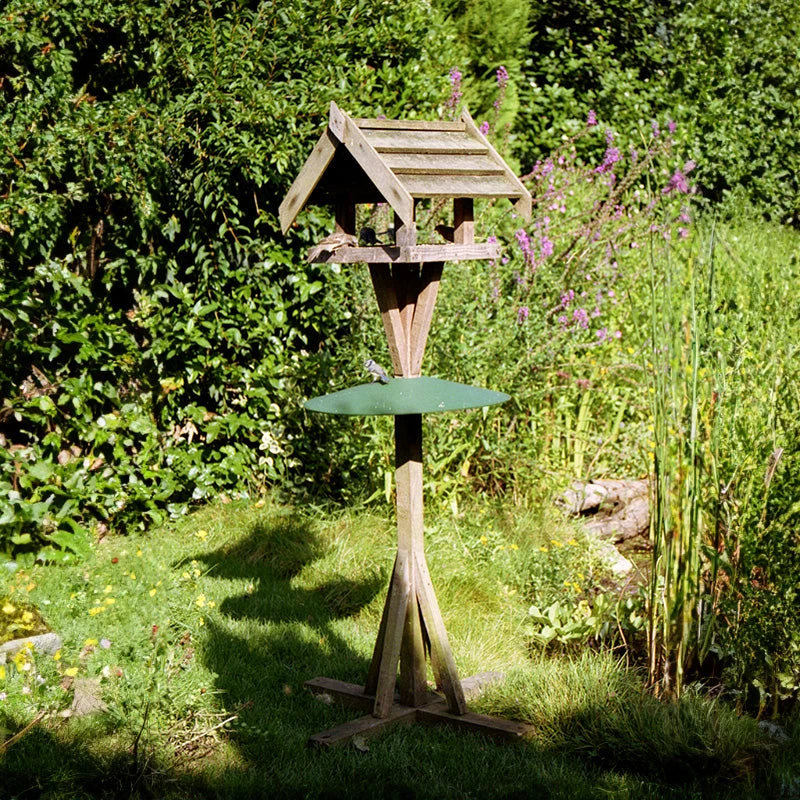 Bird Table Squirrel Baffle 1 Bird Table Squirrel Baffle