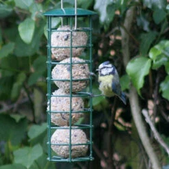 Ark Premium Fat Balls -Ark Wildlife Shop Blue Tit Suet Balls
