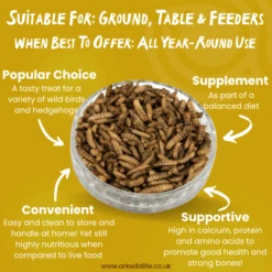 Dried Calcium Worms -Ark Wildlife Shop CALC WhyBuy