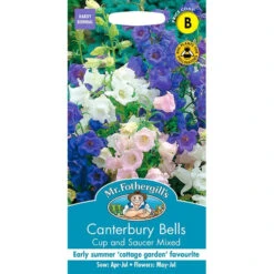 Canterbury Bells Cup & Saucer Mixed