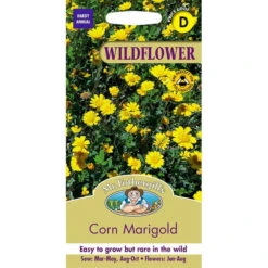 Wild Corn Marigold Seeds