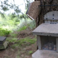 Natural Fallow Deer Antler -Ark Wildlife Shop Deer Antler Roger Hughes