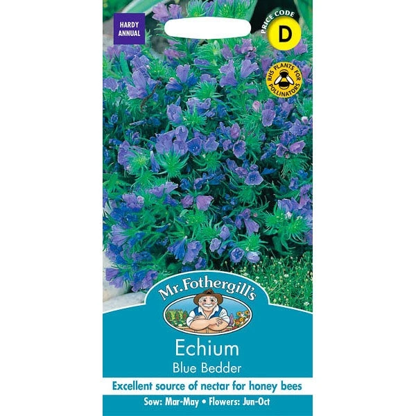 Echium Blue Bedder 1 Echium Blue Bedder
