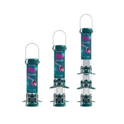Flo™ Festival Seed Feeders