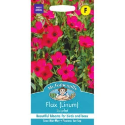 Flax (Linum) Scarlet