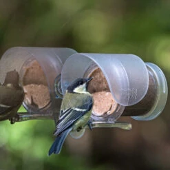 Flutter Butter Pod Window Feeder -Ark Wildlife Shop Flutter Butter Feeder Window