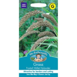 Grass Foxtail Millet Hylander