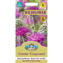 Wild Greater Knapweed Seeds