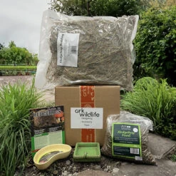 Hedgehog House Accessory Starter Pack