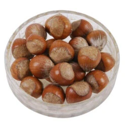 Hazelnuts In Shell For Squirrels