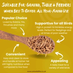 Dried Mealworms -Ark Wildlife Shop LMDR WhyBuy