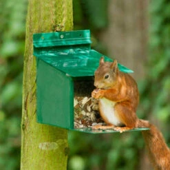 Large Capacity Squirrel Feeder -Ark Wildlife Shop Large Squirrel Feeder
