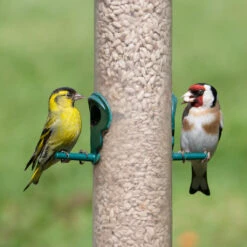 Essential Bird Food Bundle 6 Essential Bird Food Bundle -Ark Wildlife Shop Male Siskin and Goldfinch on seed feeder 175398049 2921x1900 74517646 b75b 4504 88ae a5b13f0a1aa0