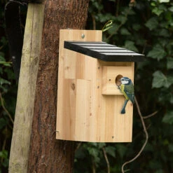 Ark Wood Bird Nest Box -Ark Wildlife Shop NBCB Cedar nest boxes