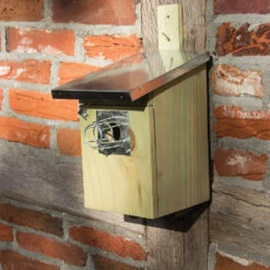 Metal Nest Box Guardian -Ark Wildlife Shop NBPP G32 nestbox gaurdian