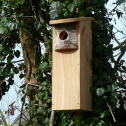 Premium Woodpecker Nest Box