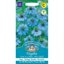 Nigella Love In A Mist - Miss Jekyll