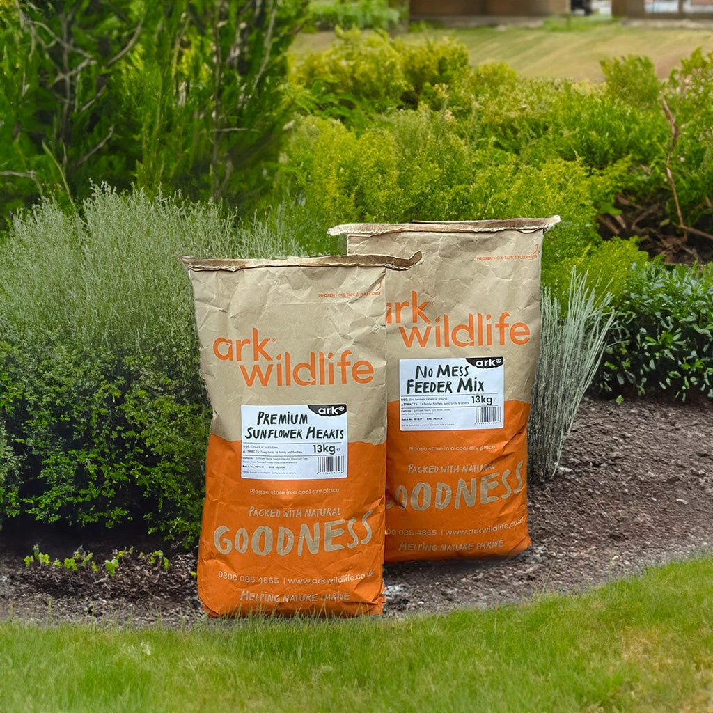 Essential Bird Food Bundle 1 Essential Bird Food Bundle