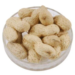 Peanuts In Shell