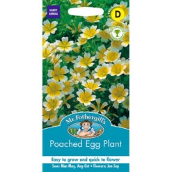 Poached Egg Plant