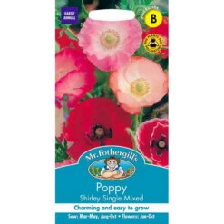 Poppy Shirley Single Mixed