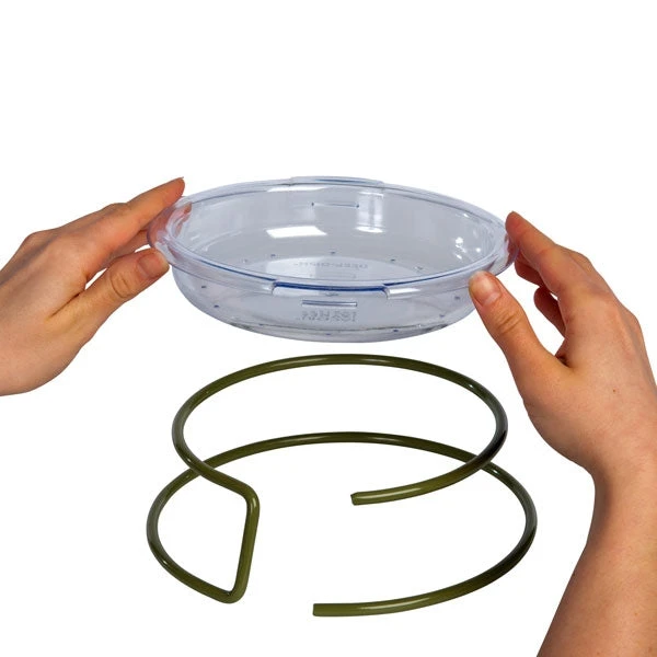 Robin Treat Dish 4 Robin Treat Dish - Image 4