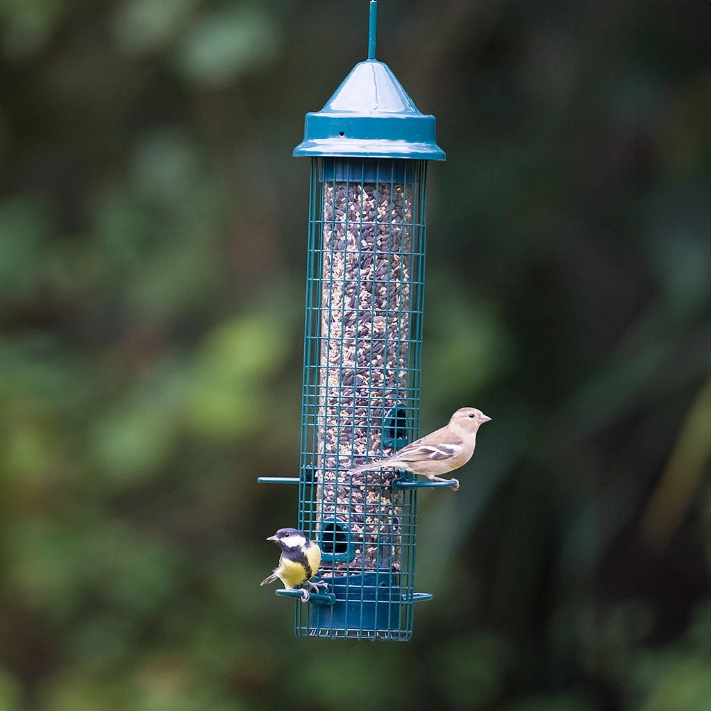 Squirrel Buster Classic Seed Feeder 3 Squirrel Buster Classic Seed Feeder - Image 3