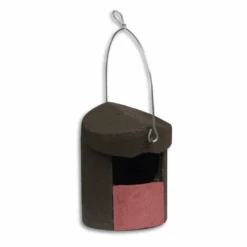 Ark Wildlife Shop 55 Ark Wildlife Shop -Ark Wildlife Shop SC 2H