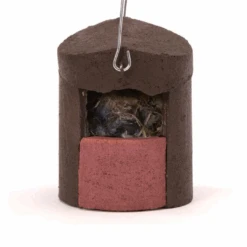 Schwegler 2H Open Nest Box