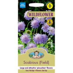 Wild Scabious Seeds