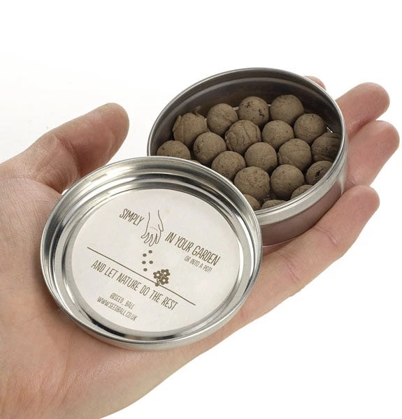 Seedball Wildflower Tins 3 Seedball Wildflower Tins - Image 3