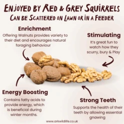 Walnuts In Shell -Ark Wildlife Shop WALS WhyBuy