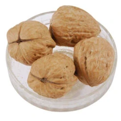 Walnuts In Shell