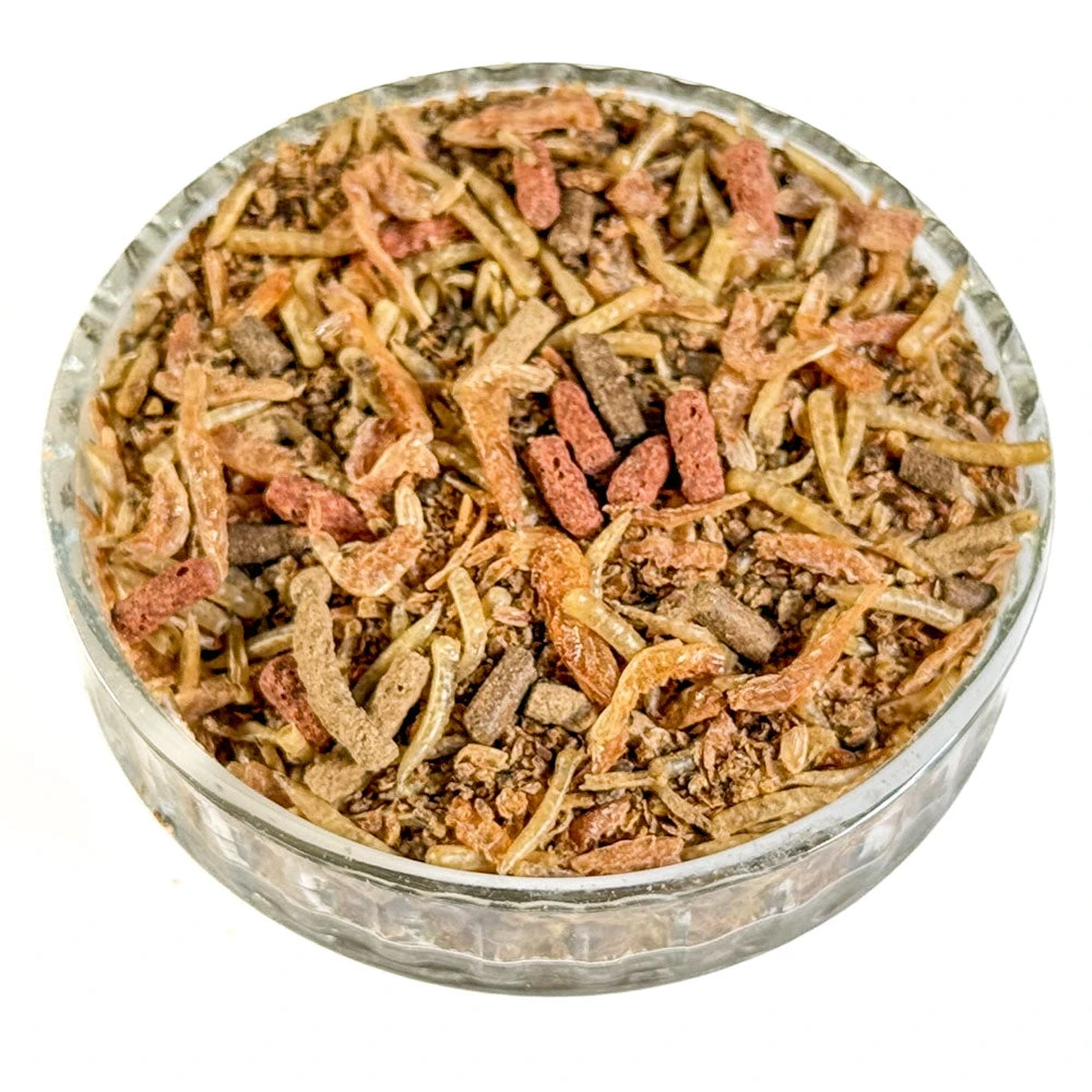 Ark Wildlife Pond Food 1 Ark Wildlife Pond Food