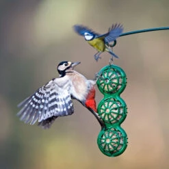 BasketBall Hanging Fat Ball Feeder 7 BasketBall Hanging Fat Ball Feeder -Ark Wildlife Shop basketball fat ball feeder