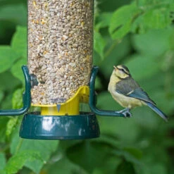 Big Easy Seed Feeders -Ark Wildlife Shop bird seed feeder big easy