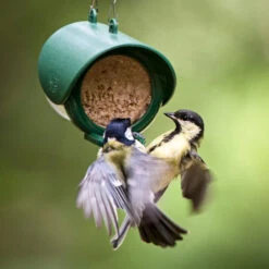 Flutter Peanut Butter Feeder -Ark Wildlife Shop birds peanut butter feeder eba31e47 98ff 45a5 98ab d69b2f1afa69