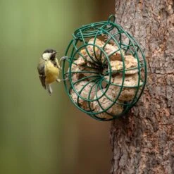 Fat Ball Feeder Ring -Ark Wildlife Shop fat ball feeder ring