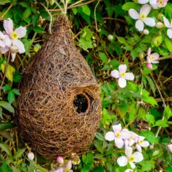 Ark Wildlife Shop 49 Ark Wildlife Shop -Ark Wildlife Shop giant bird roost pocket