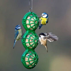 BasketBall Hanging Fat Ball Feeder 6 BasketBall Hanging Fat Ball Feeder -Ark Wildlife Shop hanging basketball fat ball feeder