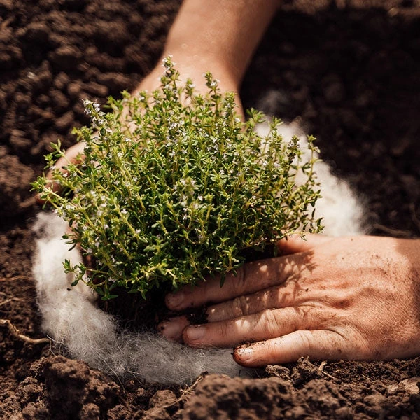 Hortiwool Garden Pad - Pouch Of 5 2 Hortiwool Garden Pad - Pouch Of 5 - Image 2