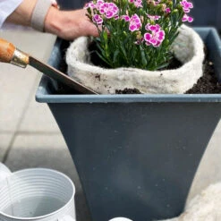 Hortiwool Garden Pad - Pouch Of 5 7 Hortiwool Garden Pad - Pouch Of 5 -Ark Wildlife Shop hortiwool slugs